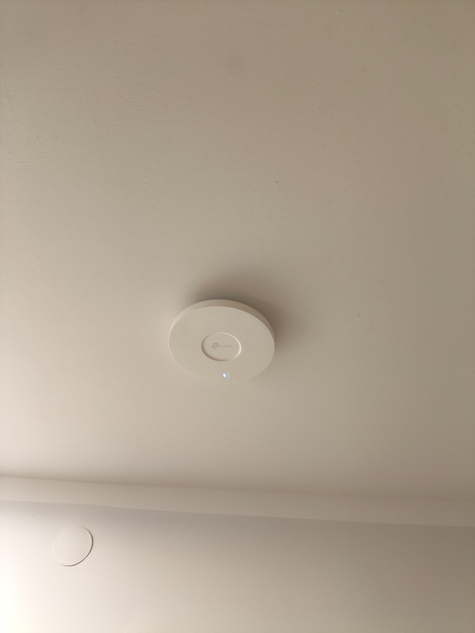 Biały punkt dostępowy TP-Link zamontowany na suficie, widoczna niebieska dioda sygnalizująca działanie. Neutralne tło sufitu i górnej części ściany.