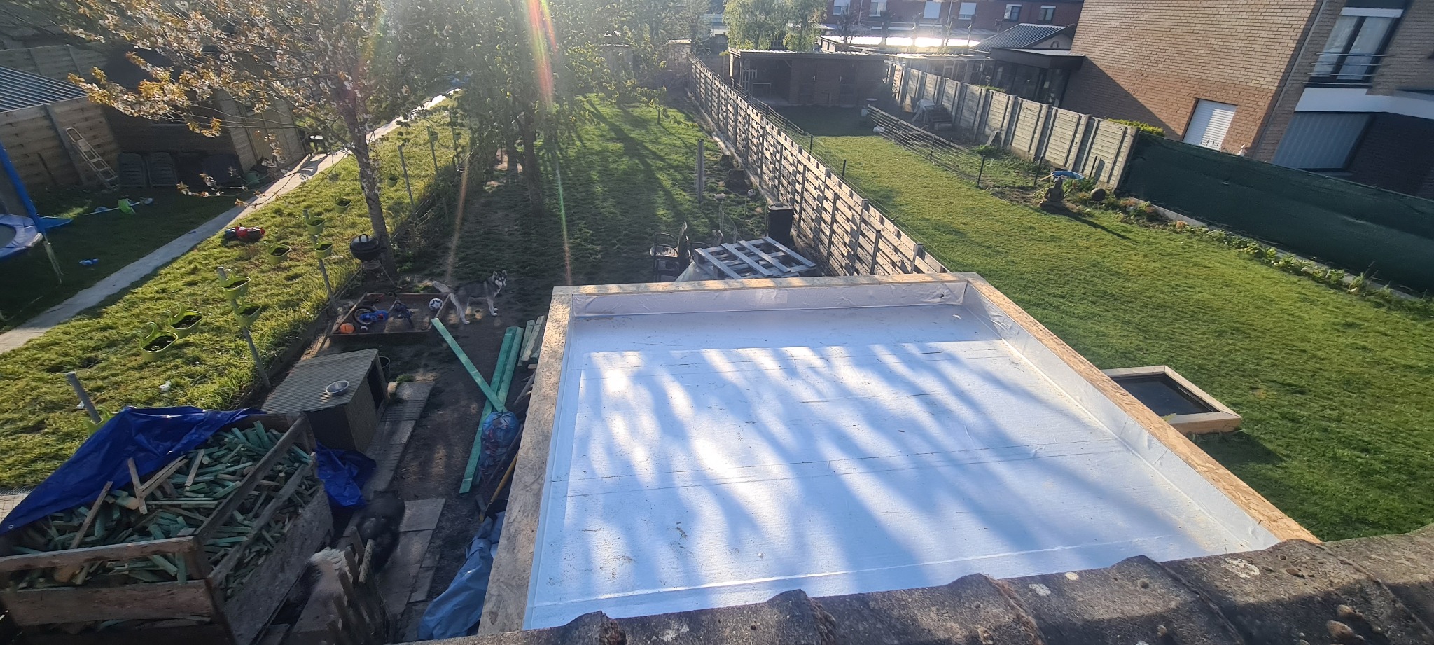 Nowa, płaska powierzchnia dachu pokryta białą membraną, widok z góry na tle zielonego ogrodu z psem rasy husky.