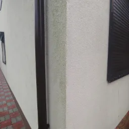 Fragment elewacji budynku z widocznym zabrudzeniem w postaci zielonego nalotu, brązowa rynna spustowa i okno z brązową roletą zewnętrzną.