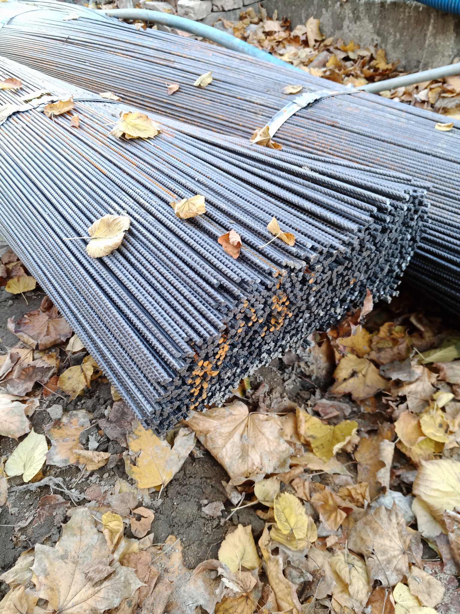 Wiązanka prętów zbrojeniowych na ziemi pokrytej jesiennymi liśćmi, widoczne ślady rdzy na niektórych końcach.