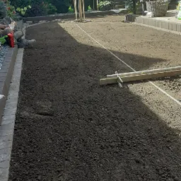 Przygotowany teren pod trawnik, wyrównana ziemia z wytyczonymi liniami, obrzeża z kostki, drzewka ozdobne w tle.