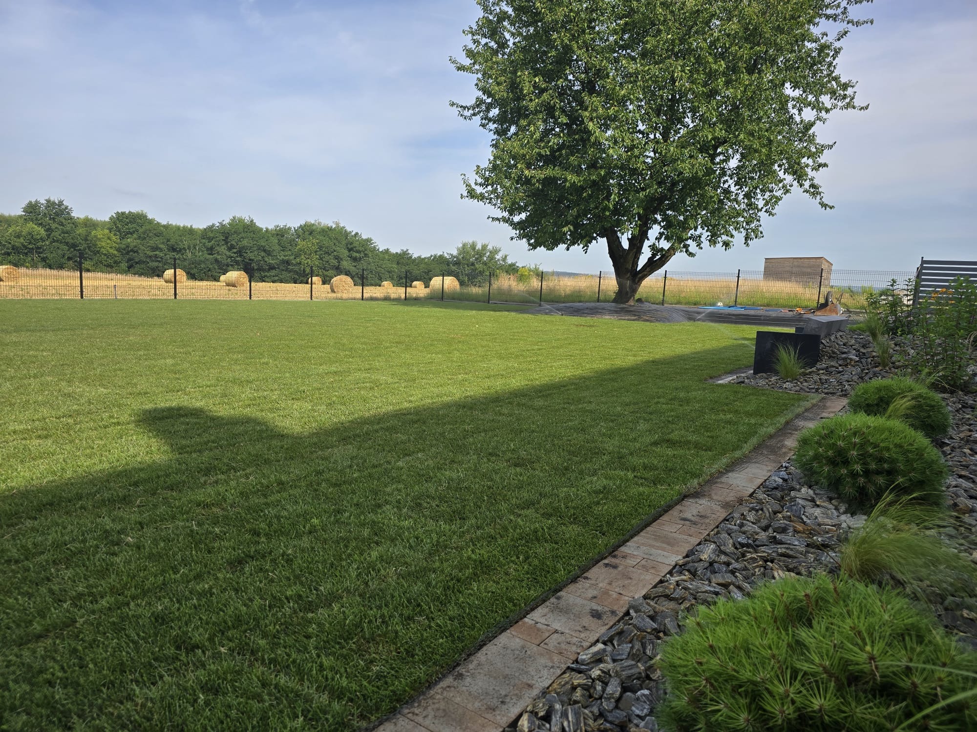 Rozległy, świeżo założony trawnik z rolki, graniczący z brukowanym obrzeżem i rabatą z kamieni oraz niskimi krzewami iglastymi; w tle widoczne bele siana za czarnym ogrodzeniem.