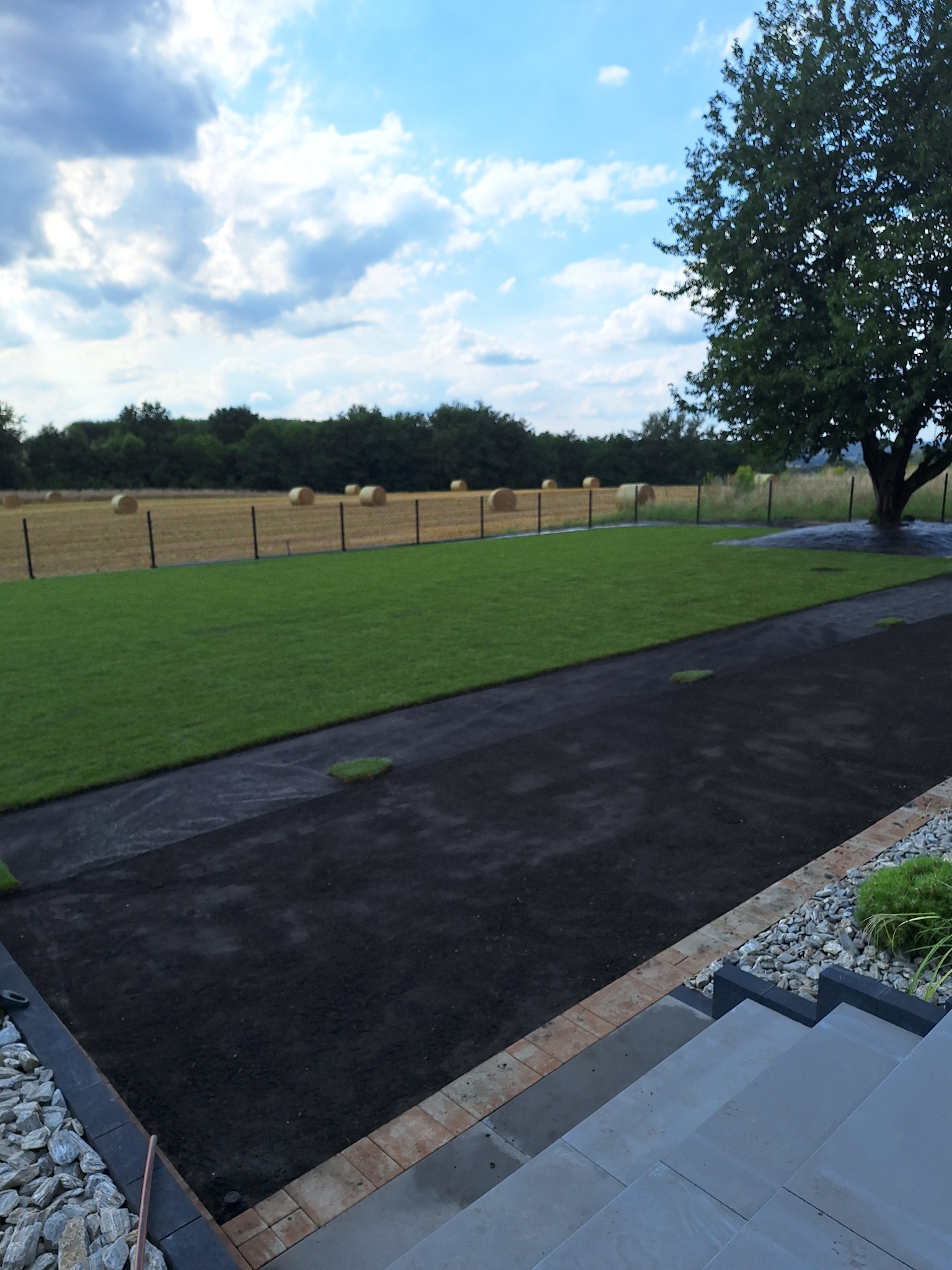 Świeżo ułożony trawnik z rolki, widoczne fragmenty ziemi między pasami, w tle pole z belami siana i drzewo, perspektywa z góry schodów.