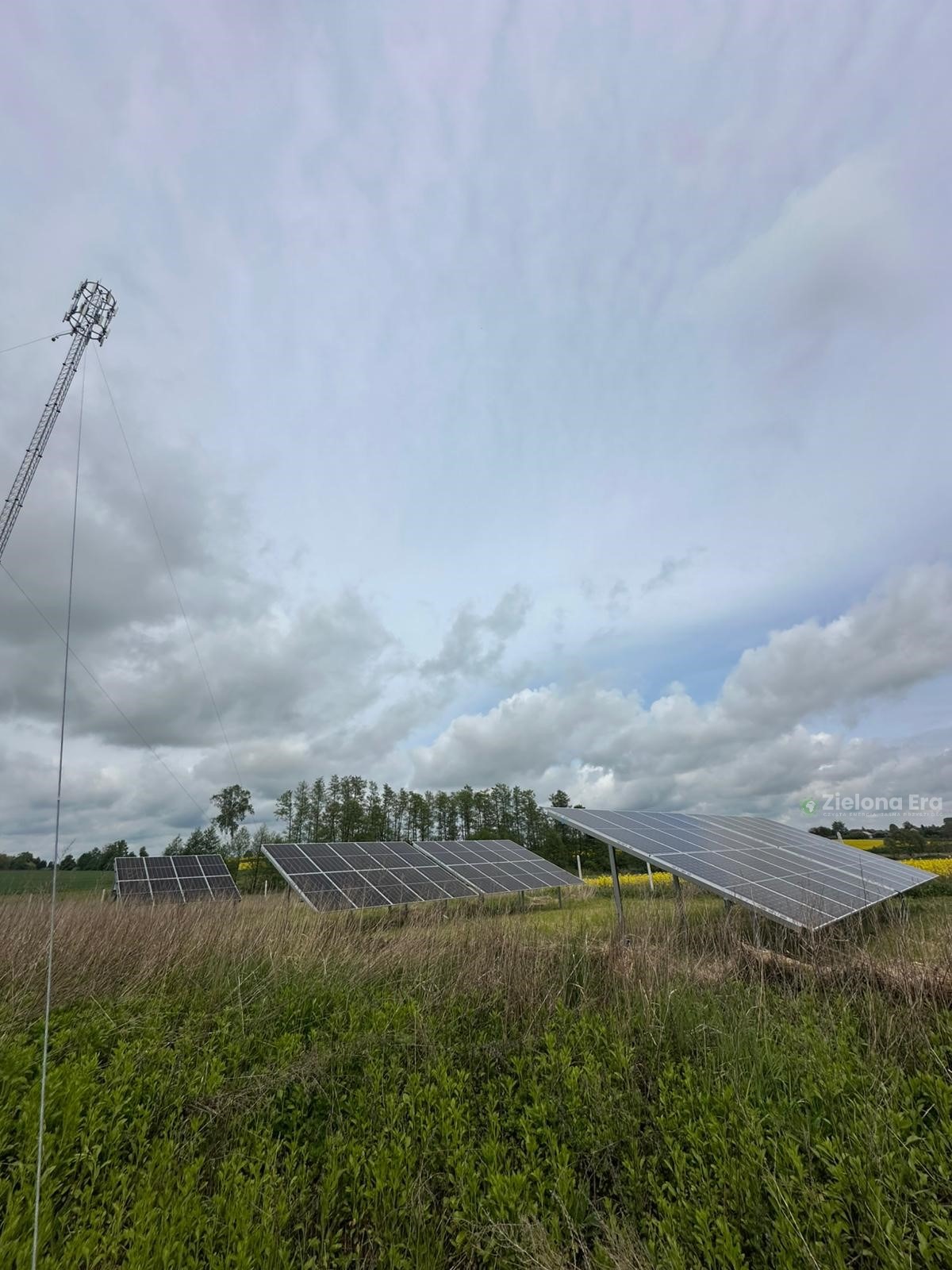 Instalacja fotowoltaiczna na łące z wysoką trawą, w tle las i pochmurne niebo. Widoczna wieża telekomunikacyjna. Panele ustawione pod kątem.