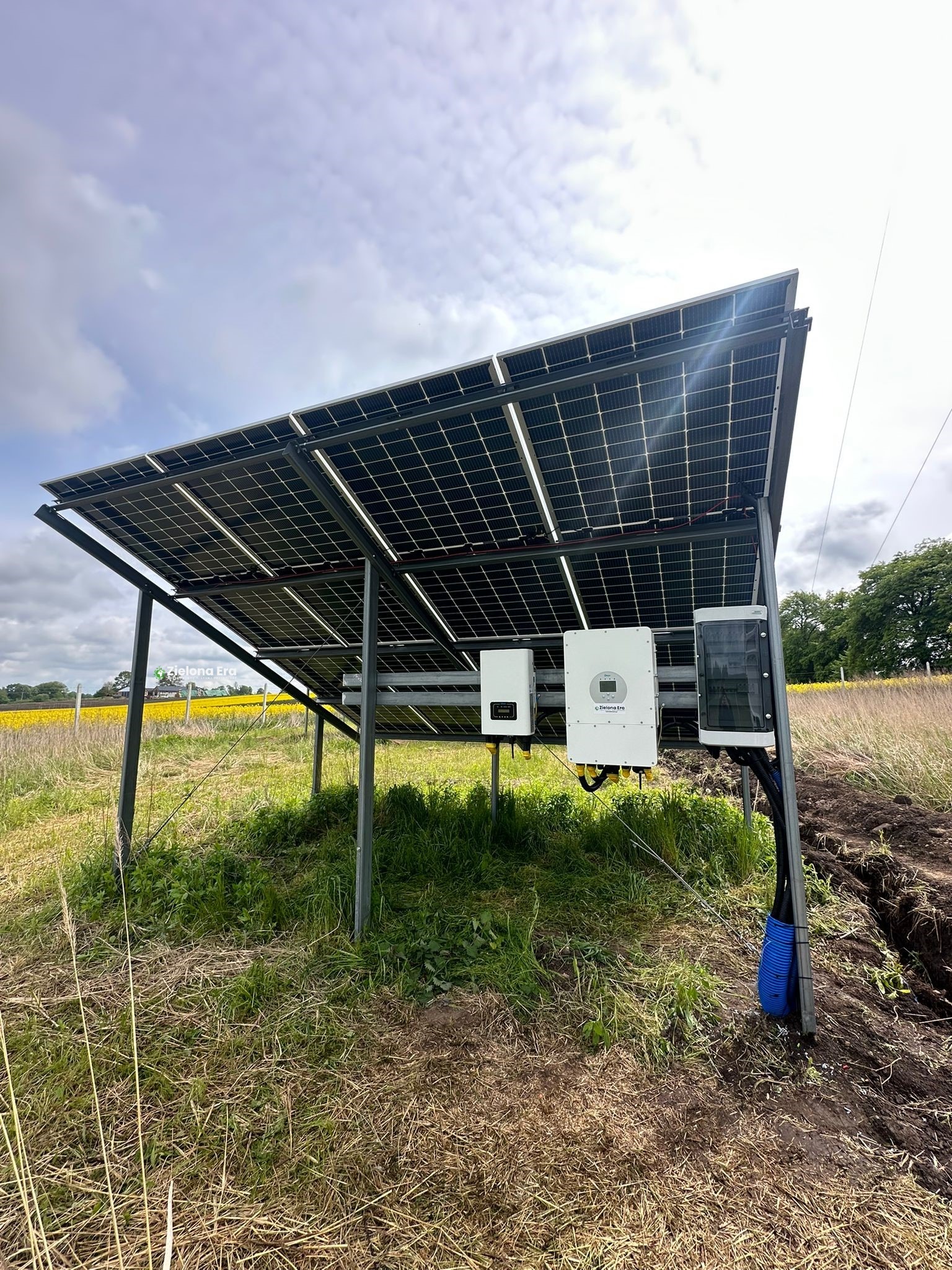 Instalacja paneli słonecznych na łące z żółtymi kwiatami w tle. Widoczne inwertery i okablowanie. Ujęcie z dołu, ukazujące konstrukcję wsporczą.