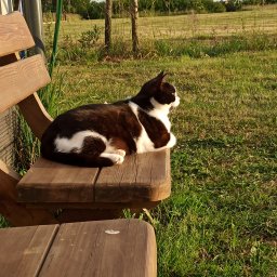 Gut-Dom - Systemy Ogrodzeniowe Wielki Klincz