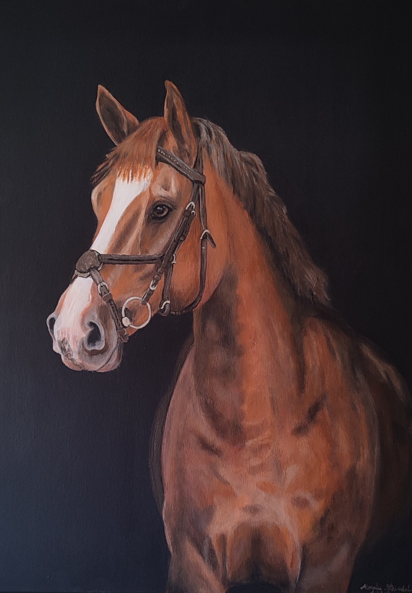 Portret konia malowany farbami akrylowymi o wymiarach 50/70. Malowany dla siebie z pasji do koni.