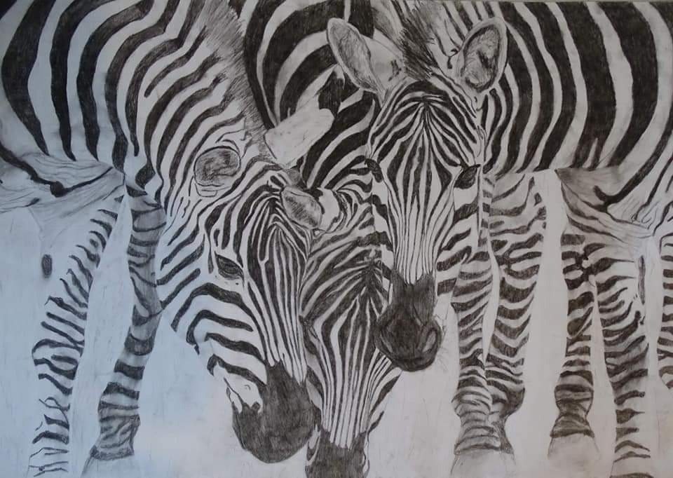 Rysunek wykonany węglem na bristolu. wymiary pracy 50/70