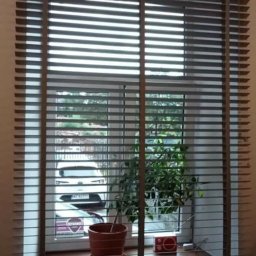 Verti- Room - Szare poziome lamele w oknie, widok na zewnątrz z samochodem i zielenią, na parapecie doniczka z rośliną i czerwone radio.