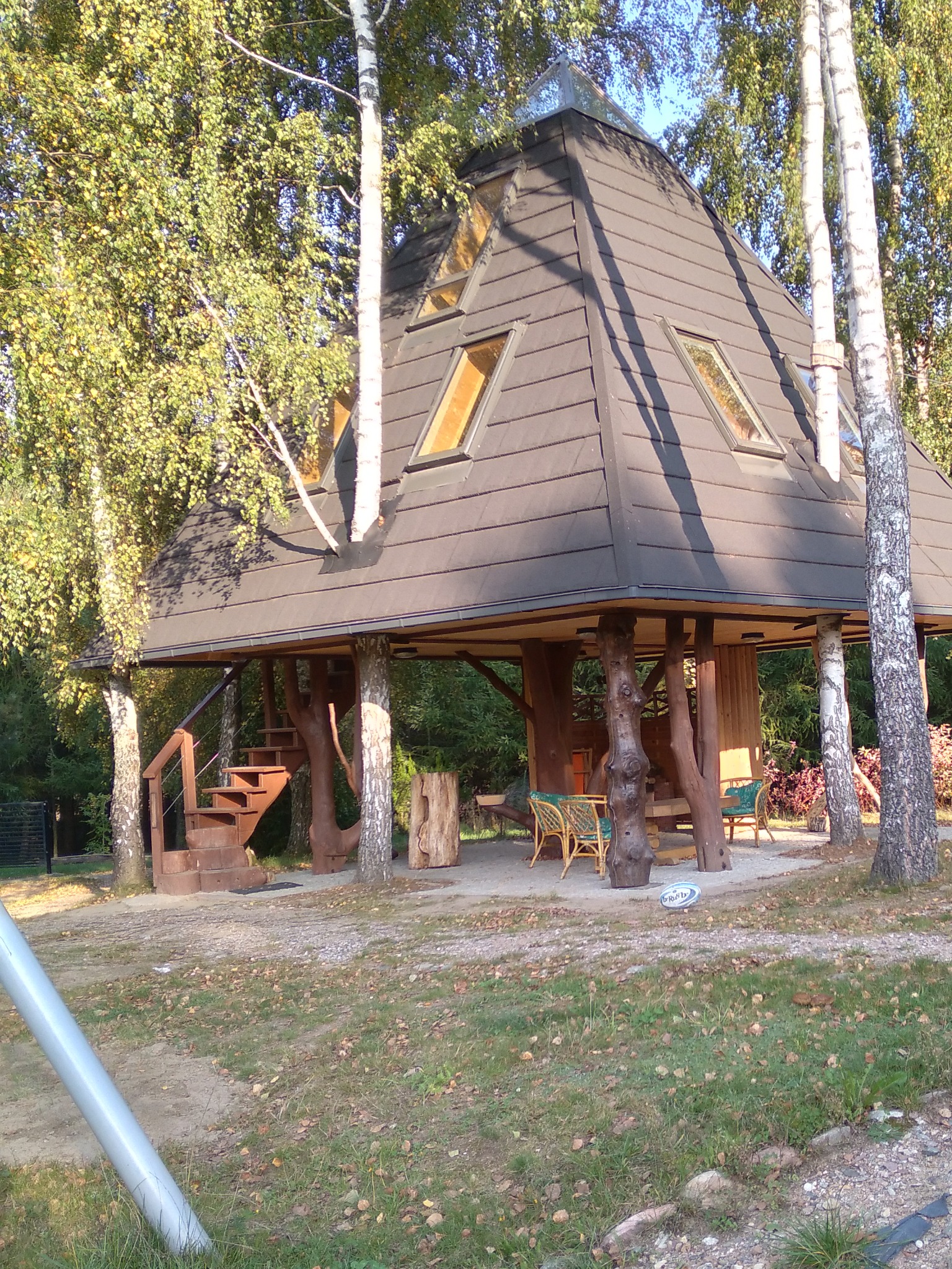 Altana o nietypowej, piramidalnej konstrukcji dachu z małymi oknami, wsparta na drewnianych słupach imitujących pnie drzew, otoczona brzozami.