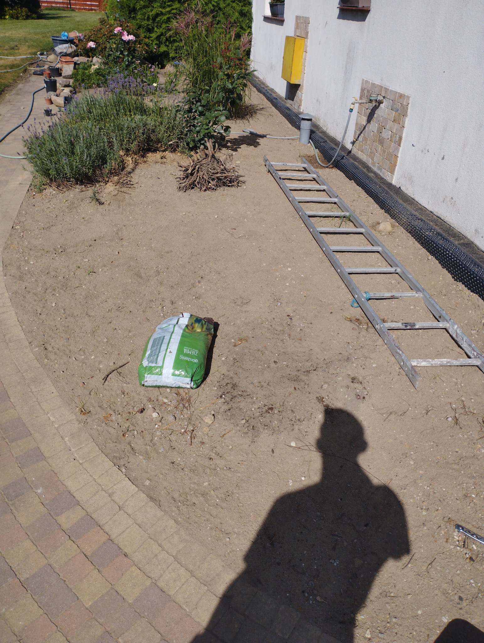 Przygotowanie terenu pod nasadzenia: ziemia ogrodowa w worku, aluminiowa drabina oparta o ścianę budynku z zamontowaną folią izolacyjną, widoczny cień osoby.