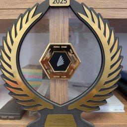 Fado Wood - Szafy wnękowe Łódź