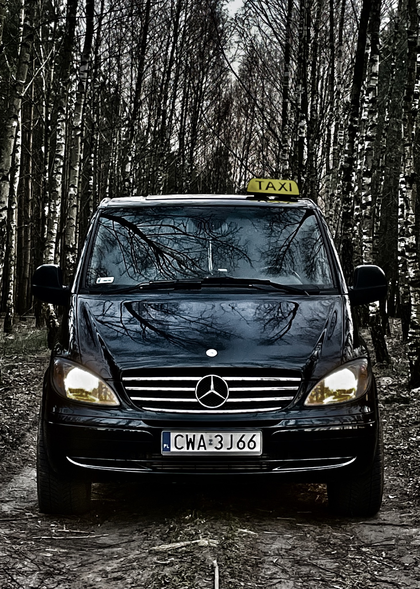 Czarna taksówka Mercedes-Benz z żółtym szyldem TAXI na tle lasu brzozowego, widok z przodu na polną drogę.