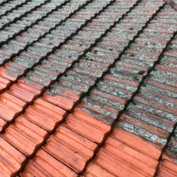 Częściowo oczyszczony dach z czerwonej dachówki, widoczny kontrast między umytą a porośniętą mchem powierzchnią, lina zabezpieczająca w prawym górnym rogu.