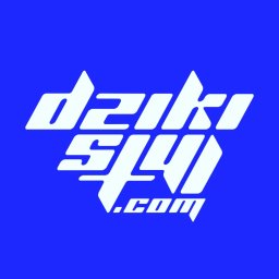 DzikiStyl - Studio Graficzne - Drukarnia Online - Tworzenie Logo Łask