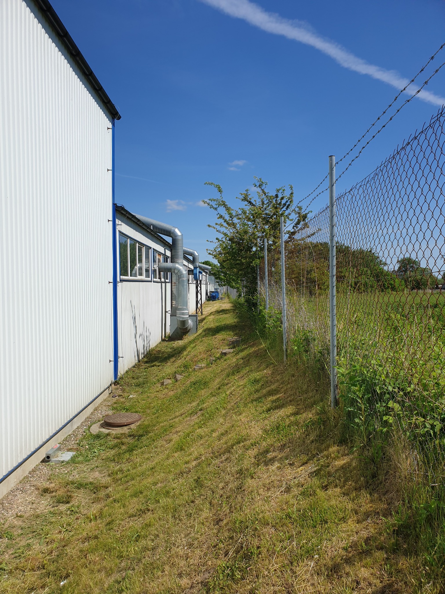 Teren zielony pomiędzy budynkiem przemysłowym z instalacją wentylacyjną a ogrodzeniem z siatki, z widoczną trawą, drzewami i błękitnym niebem z śladem kondensacyjnym samolotu.