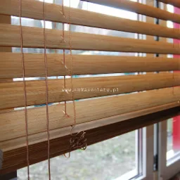 Drewniane lamele w poziomych żaluzjach z widocznymi sznurkami sterującymi, zamontowane w oknie z widokiem na zewnątrz.
