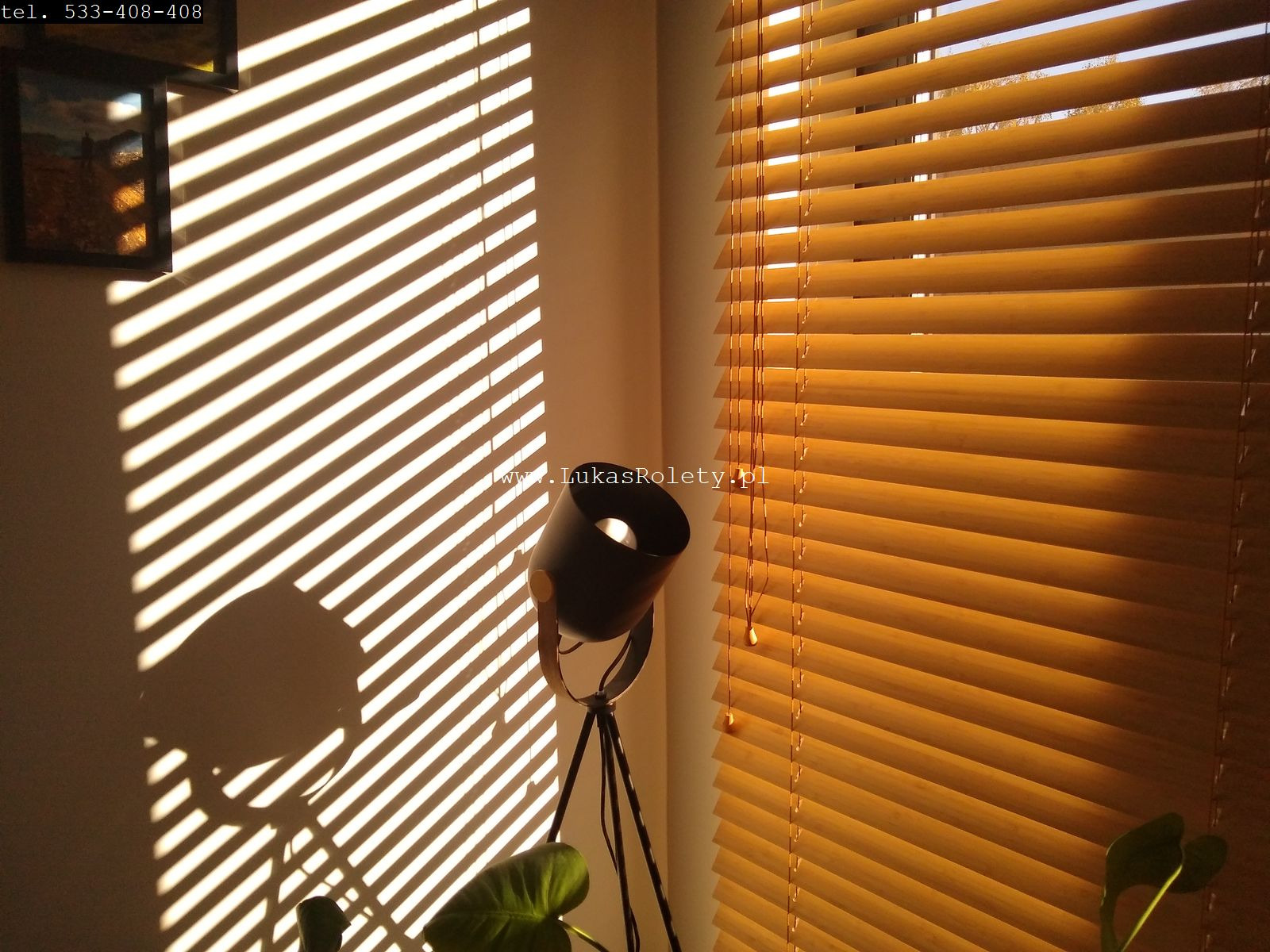 Ciepłe światło słoneczne prześwituje przez drewniane żaluzje, rzucając geometryczne cienie na ścianę obok lampy stojącej i rośliny doniczkowej.