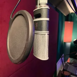 Kondensorowy mikrofon studyjny z pop filtrem zawieszony na statywie w pomieszczeniu z bordową ścianą i zieloną zasłoną w tle.