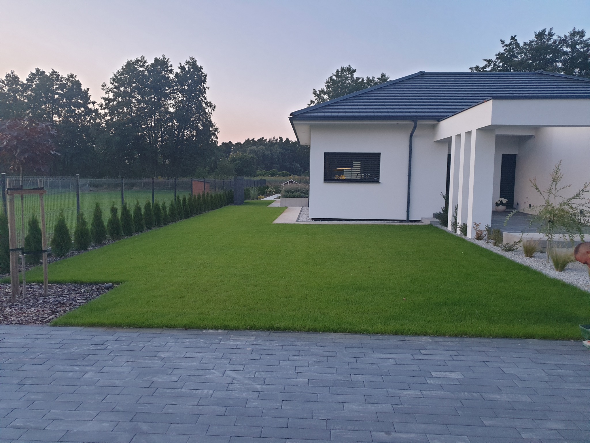 Nowoczesny dom z idealnie przystrzyżonym trawnikiem, świeżo posadzone tuje wzdłuż ogrodzenia, oraz szara kostka brukowa na podjeździe.