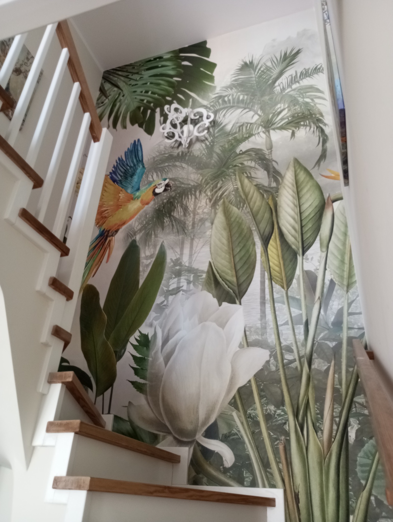 Fototapeta z motywem tropikalnym na ścianie przy schodach, przedstawiająca papugę, liście palm i kwiaty.
