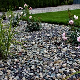 Blossom Garden - Rabata wysypana drobnymi kamieniami z nasadzeniami ozdobnych traw i kwitnących róż w odcieniach różu, trawnik w tle.