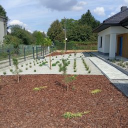 Projektowanie ogrodów Brzóza Królewska 4