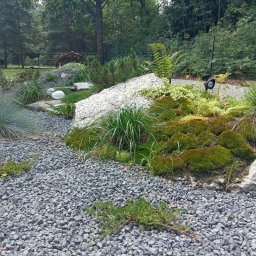 Blossom Garden - Porządny Drenaż Leżajsk