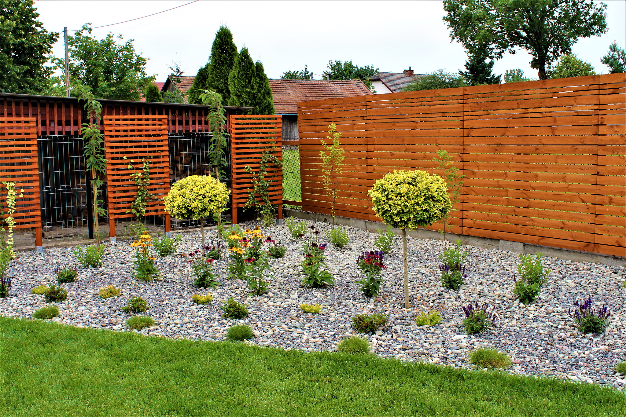 Nowoczesny ogród z drewnianym ażurowym i pełnym płotem, kulistymi drzewkami, rabatą z kamyków i kolorowymi kwiatami.