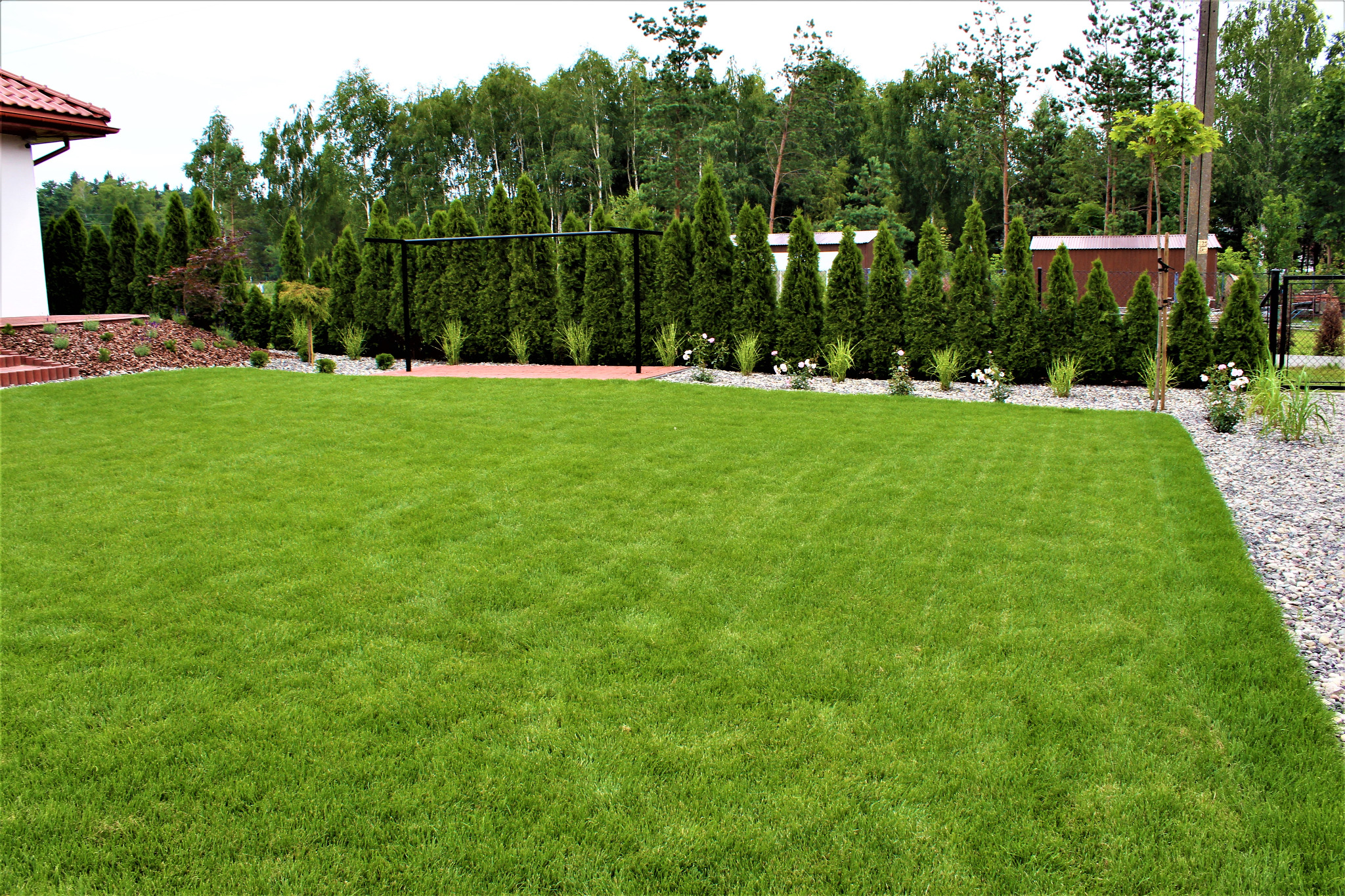 Rozległy trawnik z równo przystrzyżoną trawą, obrzeża z kamieni, rząd tuj i metalowa konstrukcja huśtawki w tle.