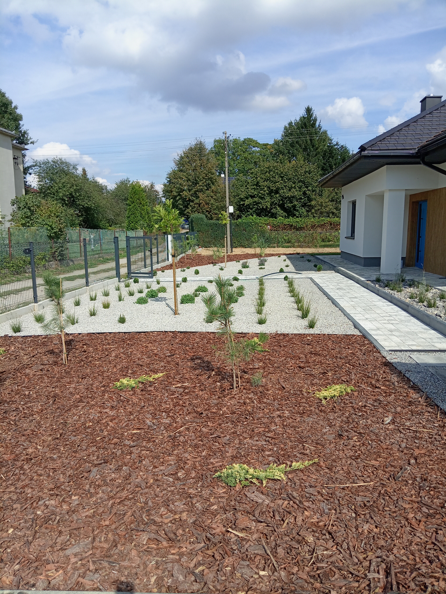 Nowoczesny ogród przydomowy z korą, białym żwirem i młodymi iglakami, prowadzący do jasnego domu z niebieskimi drzwiami.