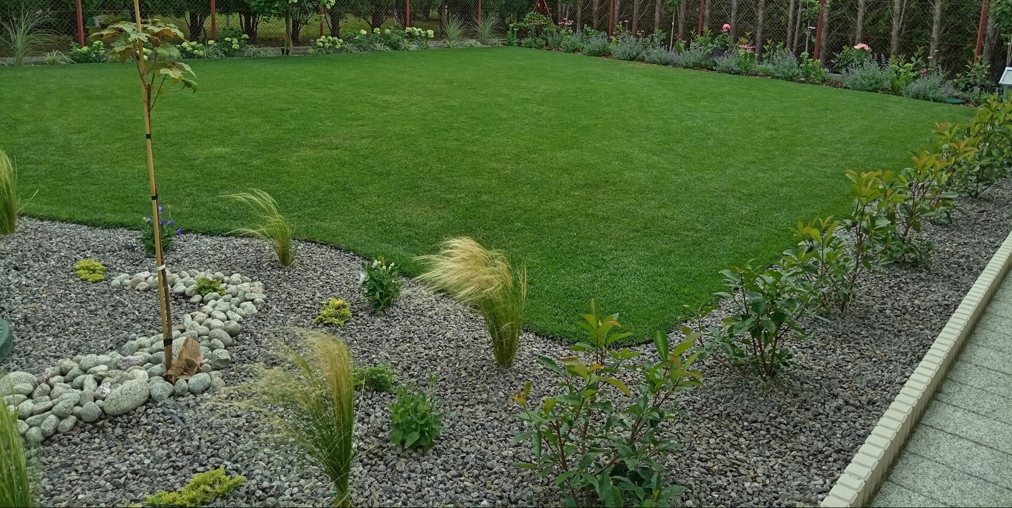 Zadbany trawnik z równo przystrzyżoną trawą, obrzeża wysypane szarym żwirem z dekoracyjnymi roślinami, w tle ogrodzenie z siatki.