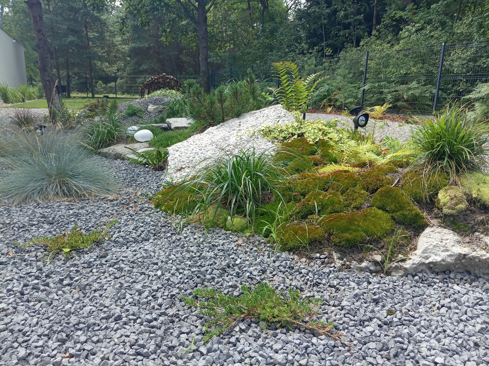 Aranżacja ogrodu z kamieniami, mchem, paprociami i ozdobnymi trawami, oświetlona lampą solarną, z widoczną stertą drewna w tle.