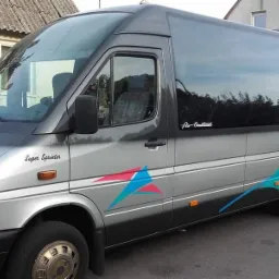 Srebrny bus Mercedes-Benz Super Sprinter z przyciemnianymi szybami i kolorowymi naklejkami w kształcie trójkątów, zaparkowany na tle domu.