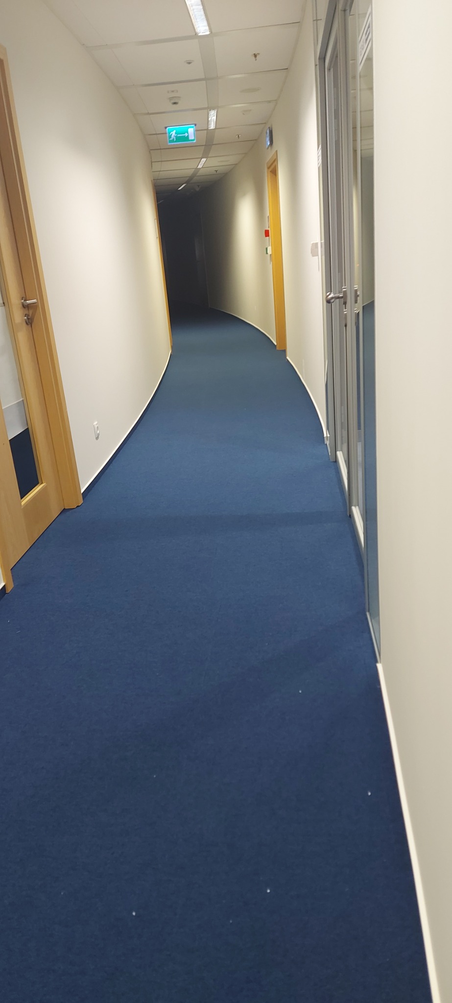 Długi, zakrzywiony korytarz biurowy z granatową wykładziną dywanową, białymi ścianami i jasnym oświetleniem sufitowym. Widoczne drewniane i szklane drzwi po bokach.