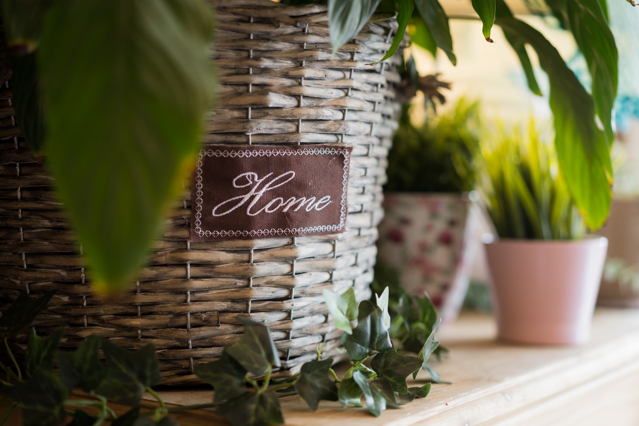 Pleciony kosz z napisem 'Home', otoczony zielonymi roślinami w doniczkach na jasnej półce.