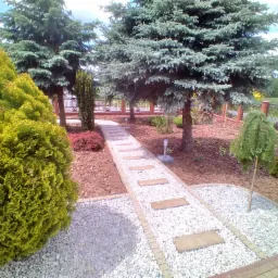 Ogród z ścieżką z białego żwiru i płyt, obrzeża z kostki, liczne krzewy i drzewa iglaste, kora na rabatach, lampa solarna wzdłuż ścieżki.