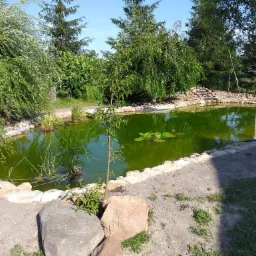 Oczko wodne w ogrodzie z kamiennym brzegiem, otoczone drzewami i roślinnością, z widocznymi liliami wodnymi na powierzchni.