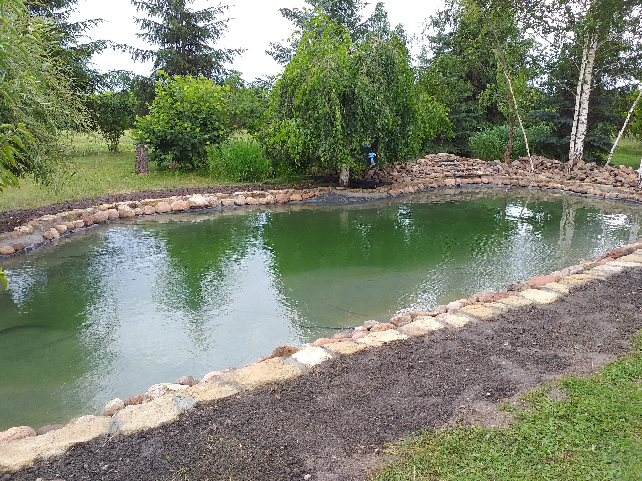 Nowo wykopany staw ogrodowy z wyłożoną folią, obłożony kamieniami i świeżą ziemią, otoczony zielenią, w tle drzewa.