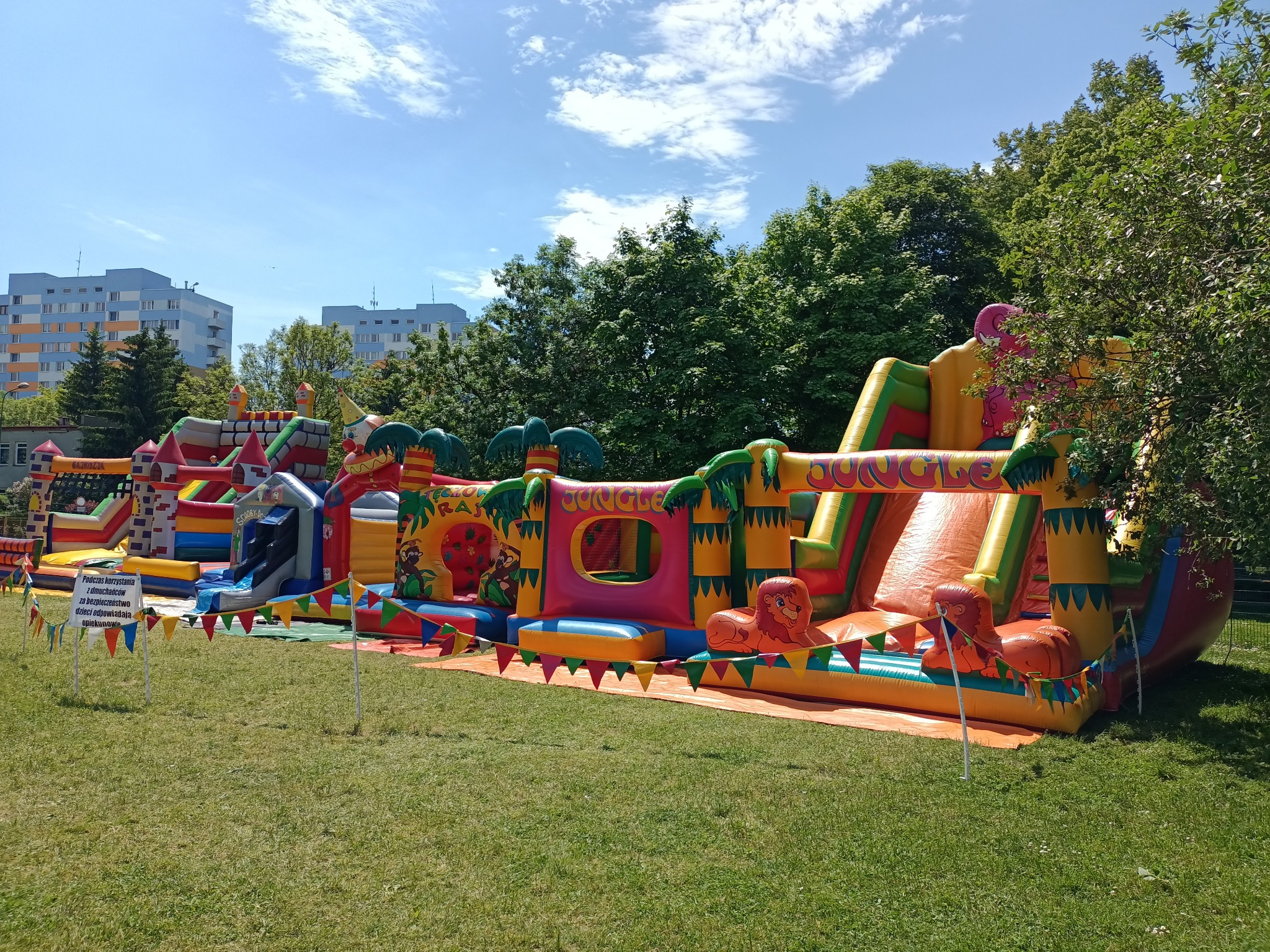 Kompleks dmuchańców w tematyce dżungli z postaciami zwierząt, ustawiony na trawniku przed budynkami mieszkalnymi, otoczony drzewami i ozdobiony kolorowymi chorągiewkami.