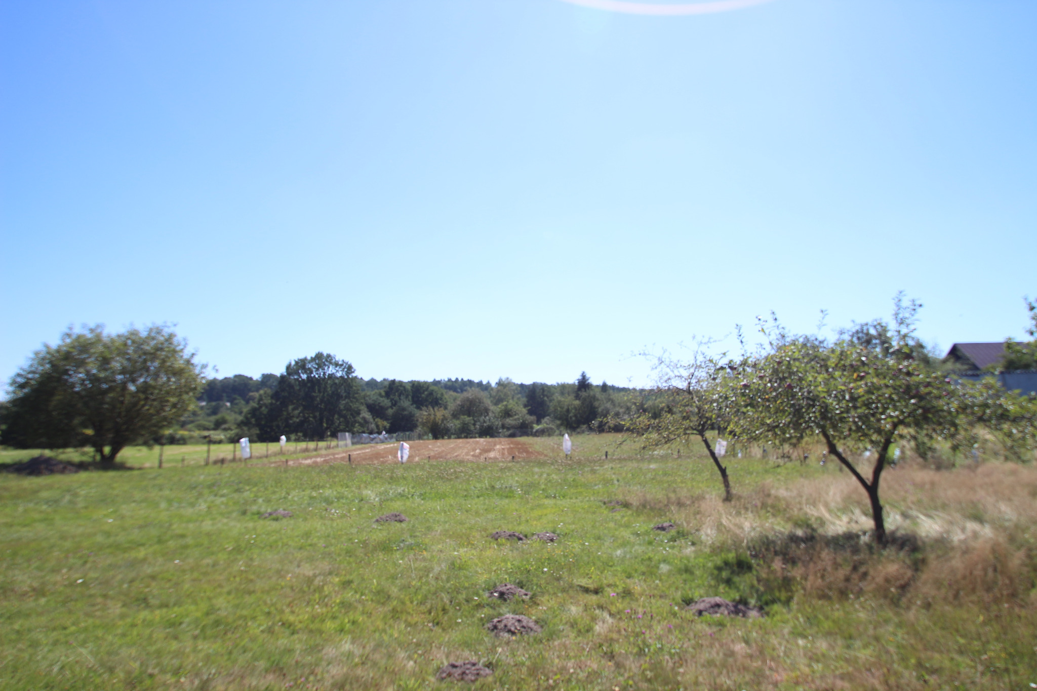 Trochę spokoju na Smolnicy, działka, sprzedana