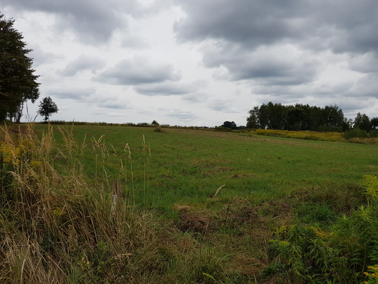 Idealna działka budowlana, Pilchowice, aktualna