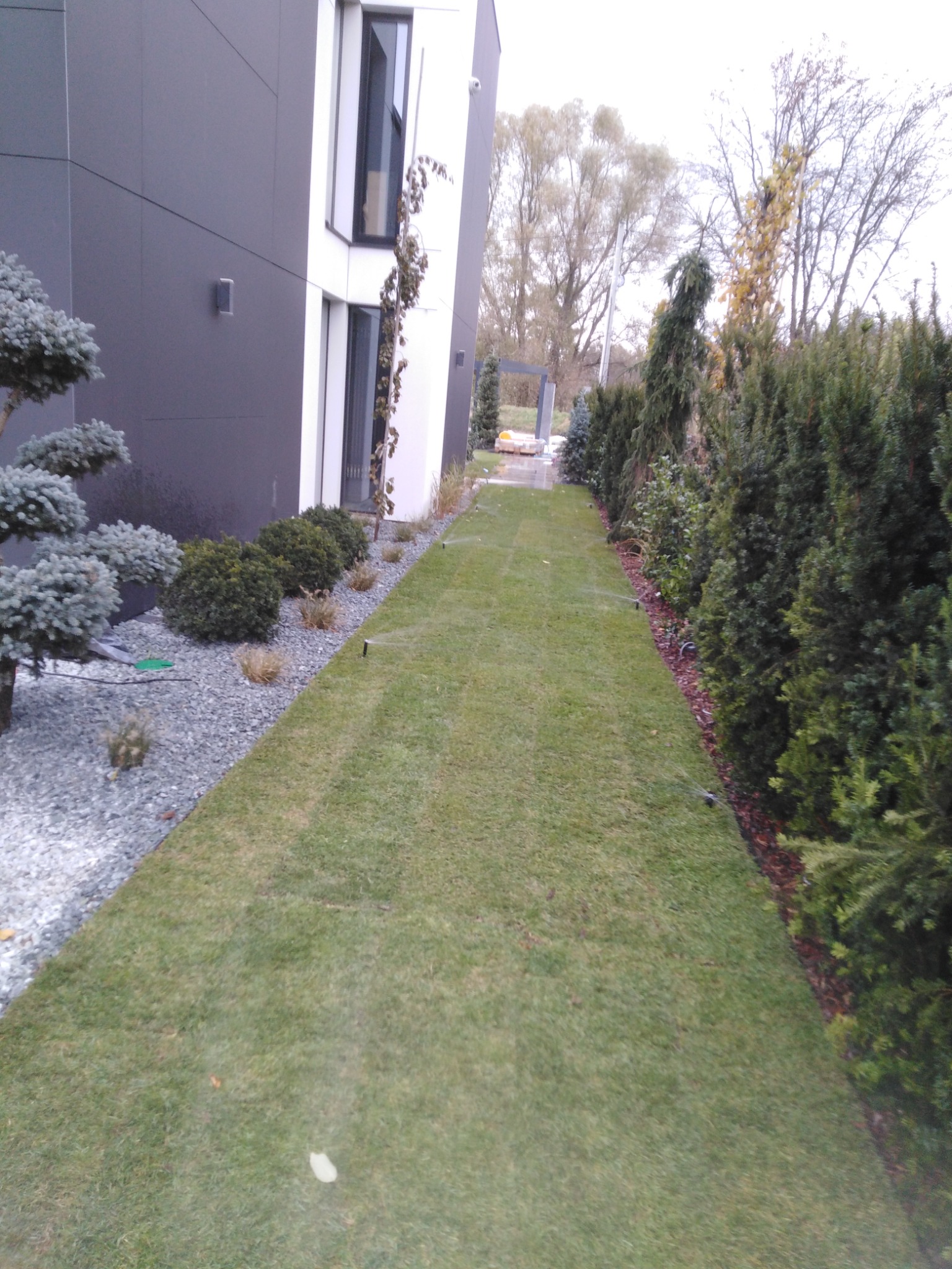 Utrzymany trawnik z systemem nawadniania wzdłuż nowoczesnego domu z szarą elewacją, obok ozdobne krzewy i drzewa iglaste.