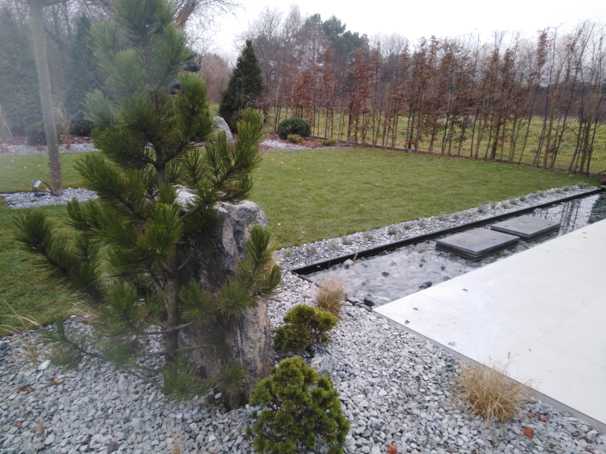 Nowoczesny ogród z minimalistycznym oczkiem wodnym, kamieniami ozdobnymi i młodymi sosnami, widok na trawnik i rzadki szpaler drzew w tle.