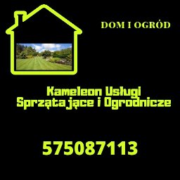 Kameleon Usługi Sprzątające i Ogrodnicze - Czyszczenie Dywanów Wrocław