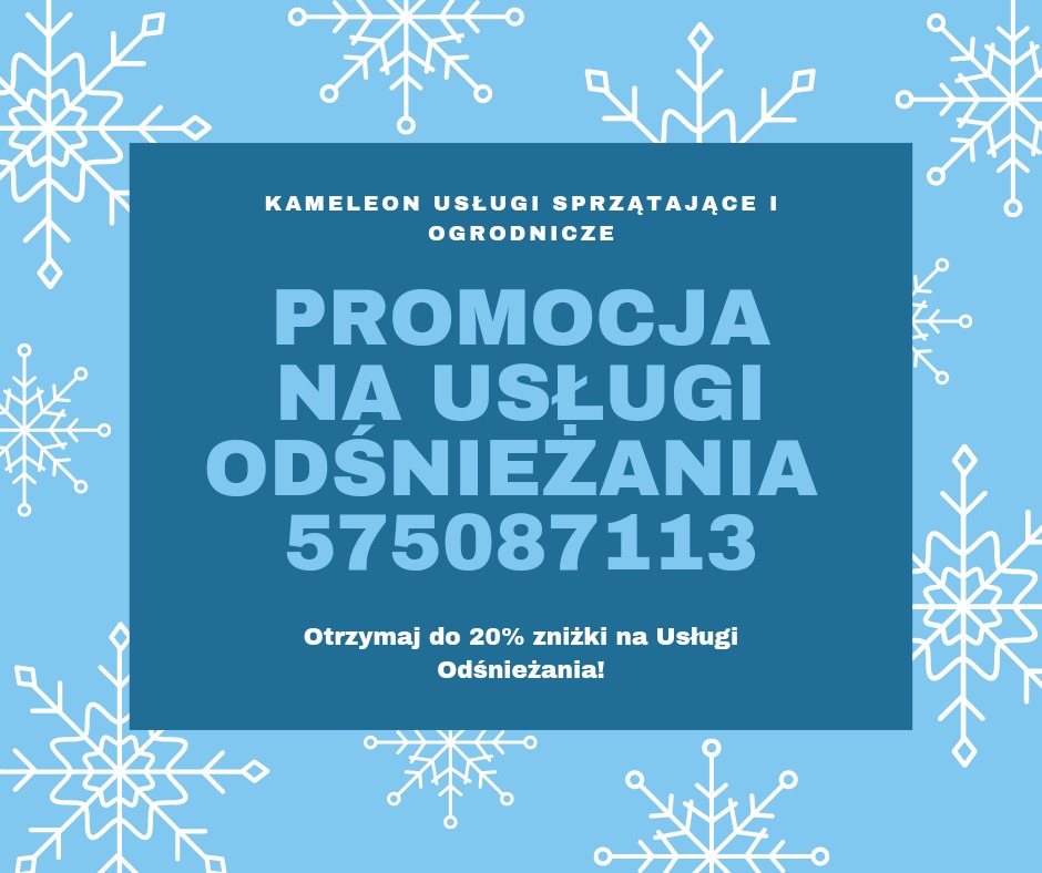 Grafika reklamowa firmy Kameleon Usługi Sprzątające i Ogrodnicze, oferująca promocję na usługi odśnieżania, numer telefonu 575087113, do 20% zniżki, jasnoniebieskie tło z białymi płatkami śniegu.