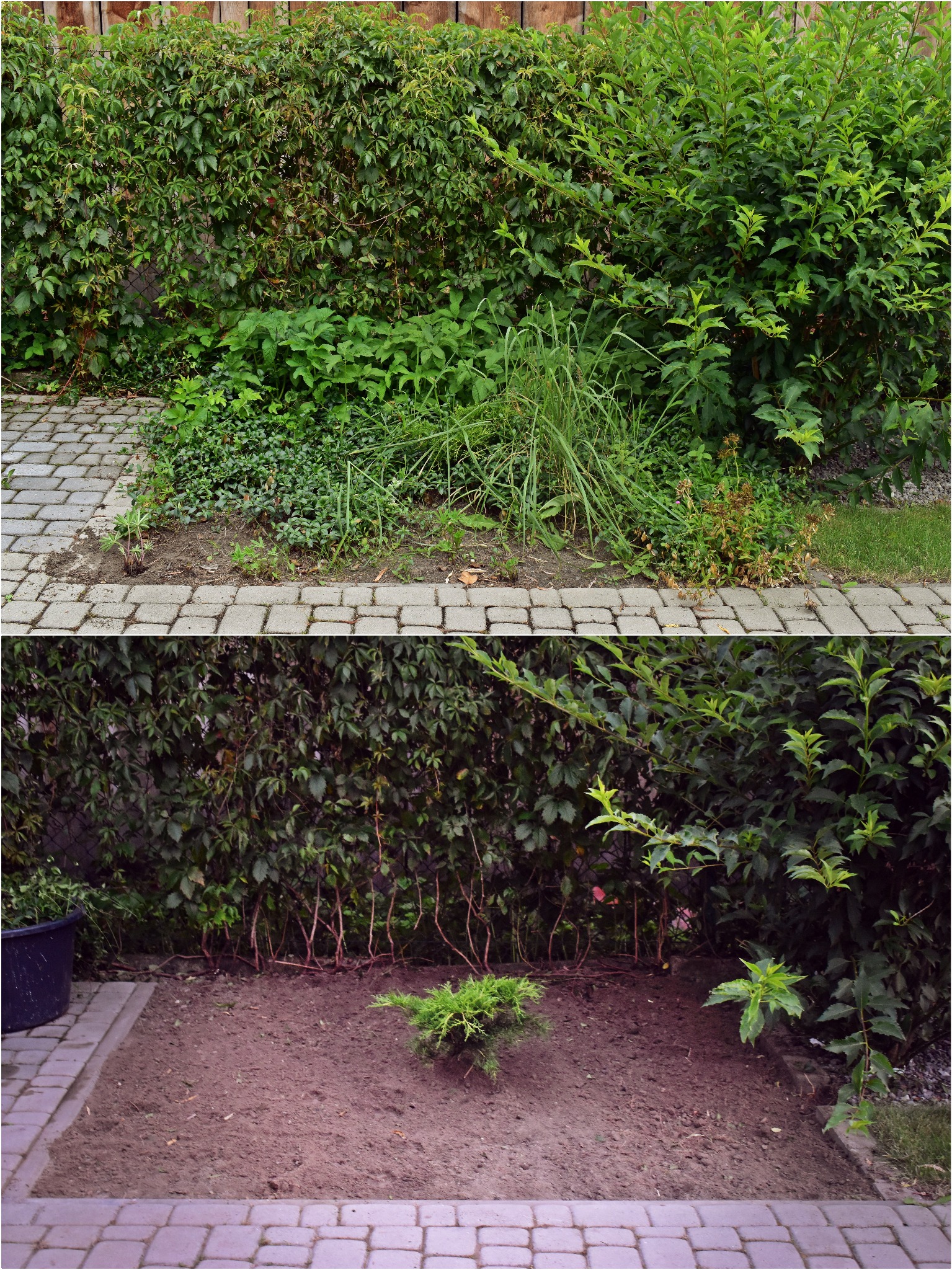 Odchwaszczanie - przed i po