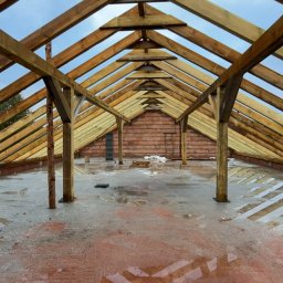 Dachy Rudnik nad Sanem 2