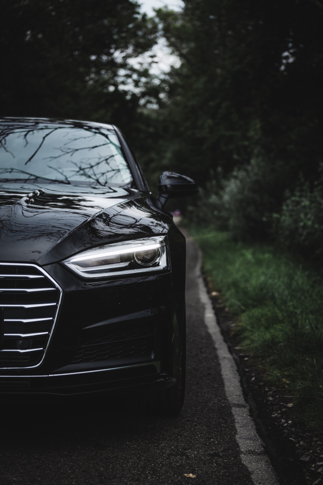 Częściowy widok przodu czarnego samochodu Audi na wąskiej asfaltowej drodze z zielonym poboczem, z refleksami drzew na karoserii.