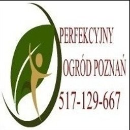 Perfekcyjny Ogr&oacute;d Patryk Wiczyński - Budowa Oczka Wodnego Czerwonak